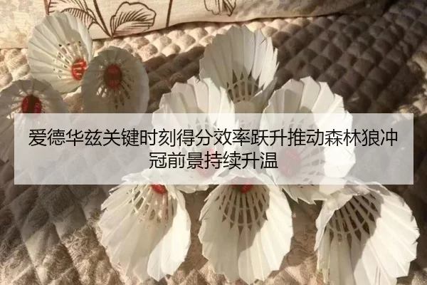 爱德华兹关键时刻得分效率跃升推动森林狼冲冠前景持续升温 - kaiyun