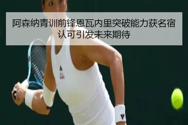 阿森纳青训前锋恩瓦内里突破能力获名宿认可引发未来期待 - kaiyun
